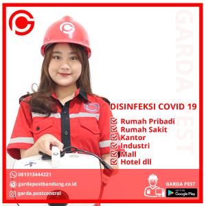  Jasa Disinfektan Sekolah di Banyumanik Semarang