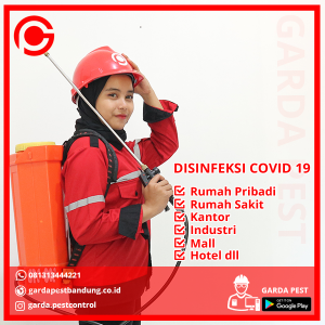 Jasa Disinfektan Murah di Sidoarjo