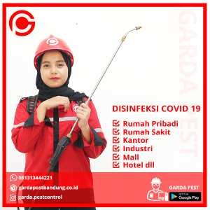 Jasa Semprot Disinfektan di Pekalipan Cirebon