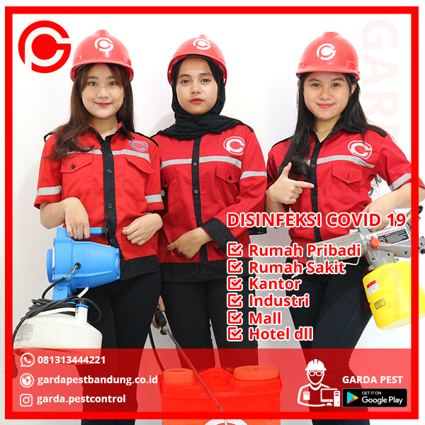 Harga Jasa Fogging Mobil Makassar