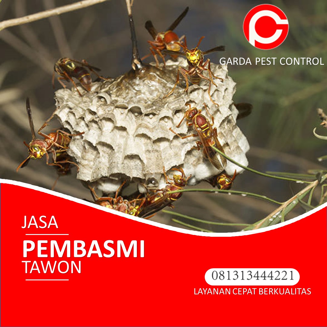 Jasa Pest Control di Bandung