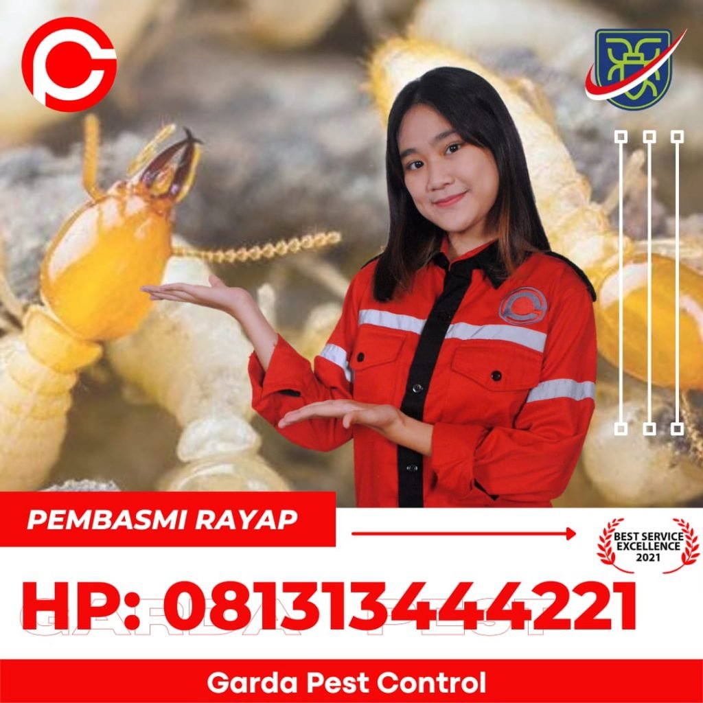 kayu tahan Rayap di Bandung Kota