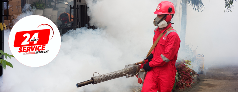 Jasa Fogging Nyamuk di Bantul Yogyakarta