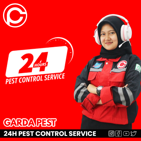 pest control di yogyakarta