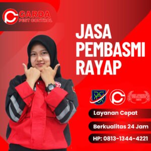 Suntik Rayap Terbaik