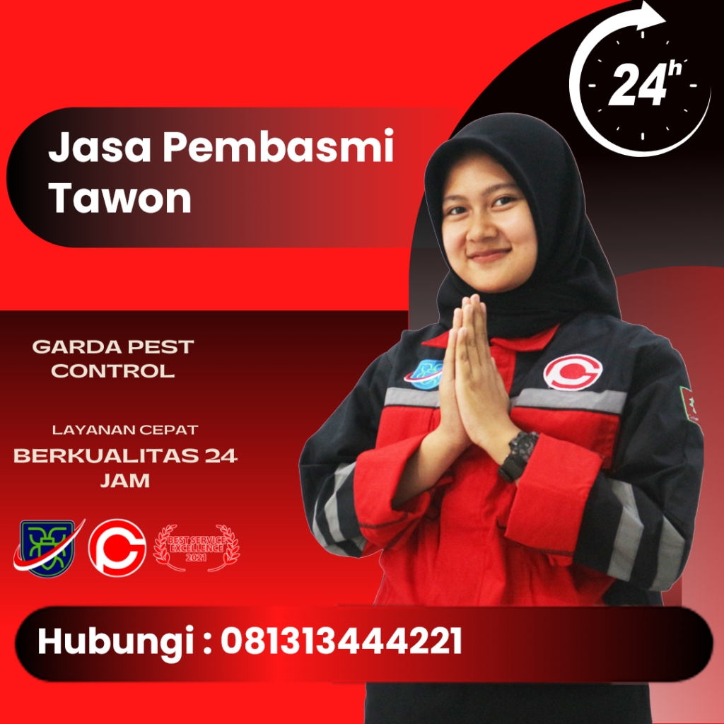 Jasa Pembasmi Tawon Area Bali