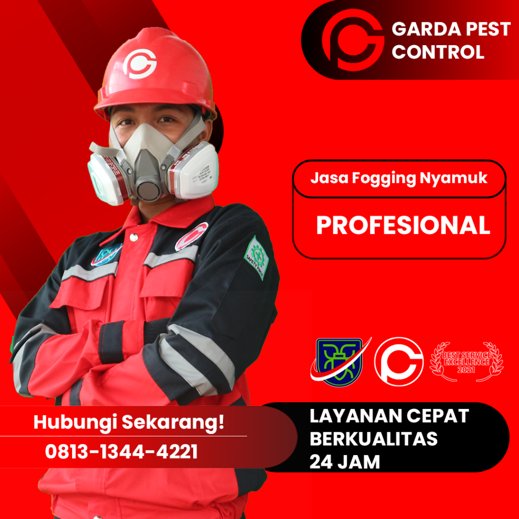 Harga Jasa Pembasmi Tikus Surabaya