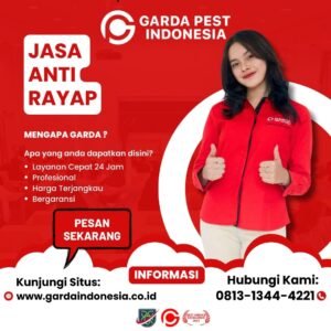 Suntik Rayap Terbaik