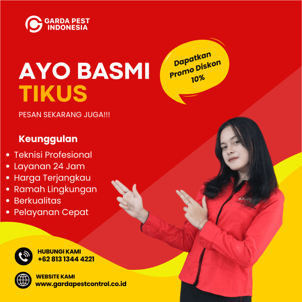 Jasa Pembasmi Tikus di Surabaya Layanan 24 Jam