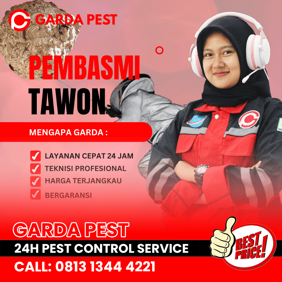 Bahaya Tawon Vespa dan Cara Pencegahannya