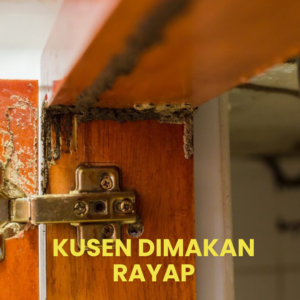 Kusen Pintu Jendela Dimakan Rayap