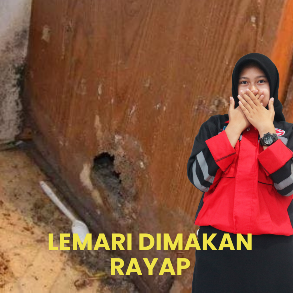 Lemari dimakan Rayap