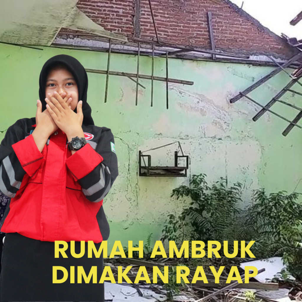 Rumah-Ambruk-Gara-Gara-Rayap