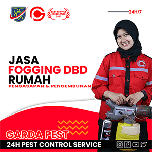 Jasa Fogging Cilacap 24 Jam