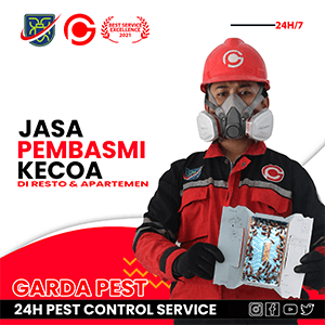 Jasa Pembasmi Kecoa di Apartemen 24 jam