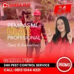 Jasa Pawang Ular Bandung 24 Jam