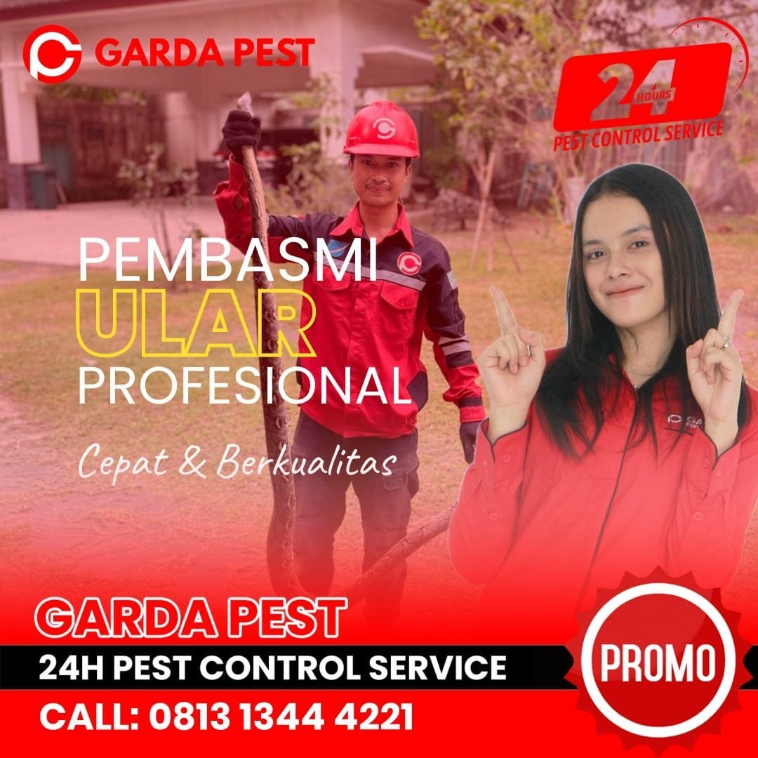 Jasa Pawang Ular Bandung 24 Jam