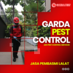 Jasa Pembasmi Lalat Murah dan Terpercaya