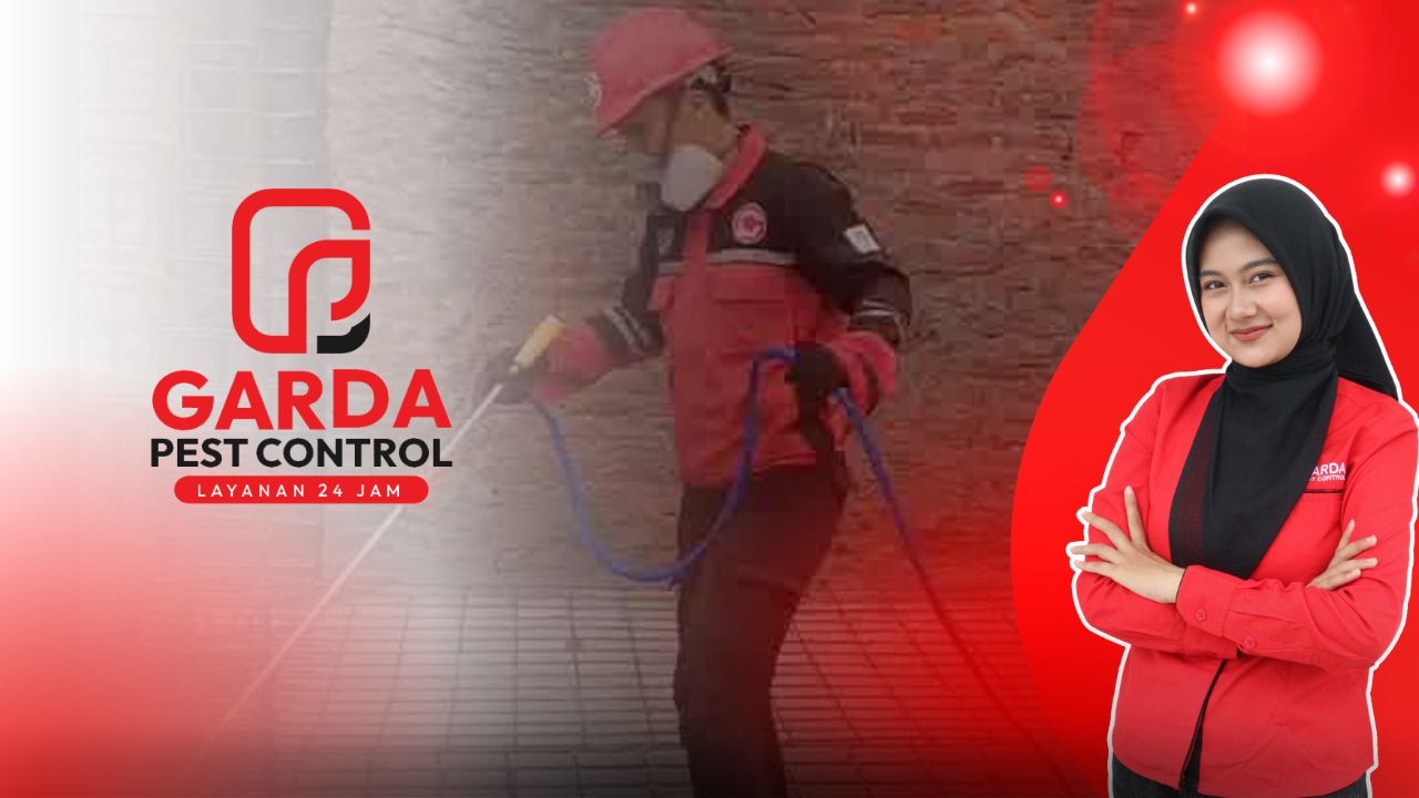 Jasa Anti Rayap di Surabaya Termurah dan Bergaransi