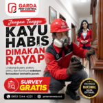 Jasa Anti Rayap Jogja