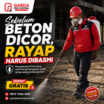 Biaya Pembasmi Rayap di Jogja