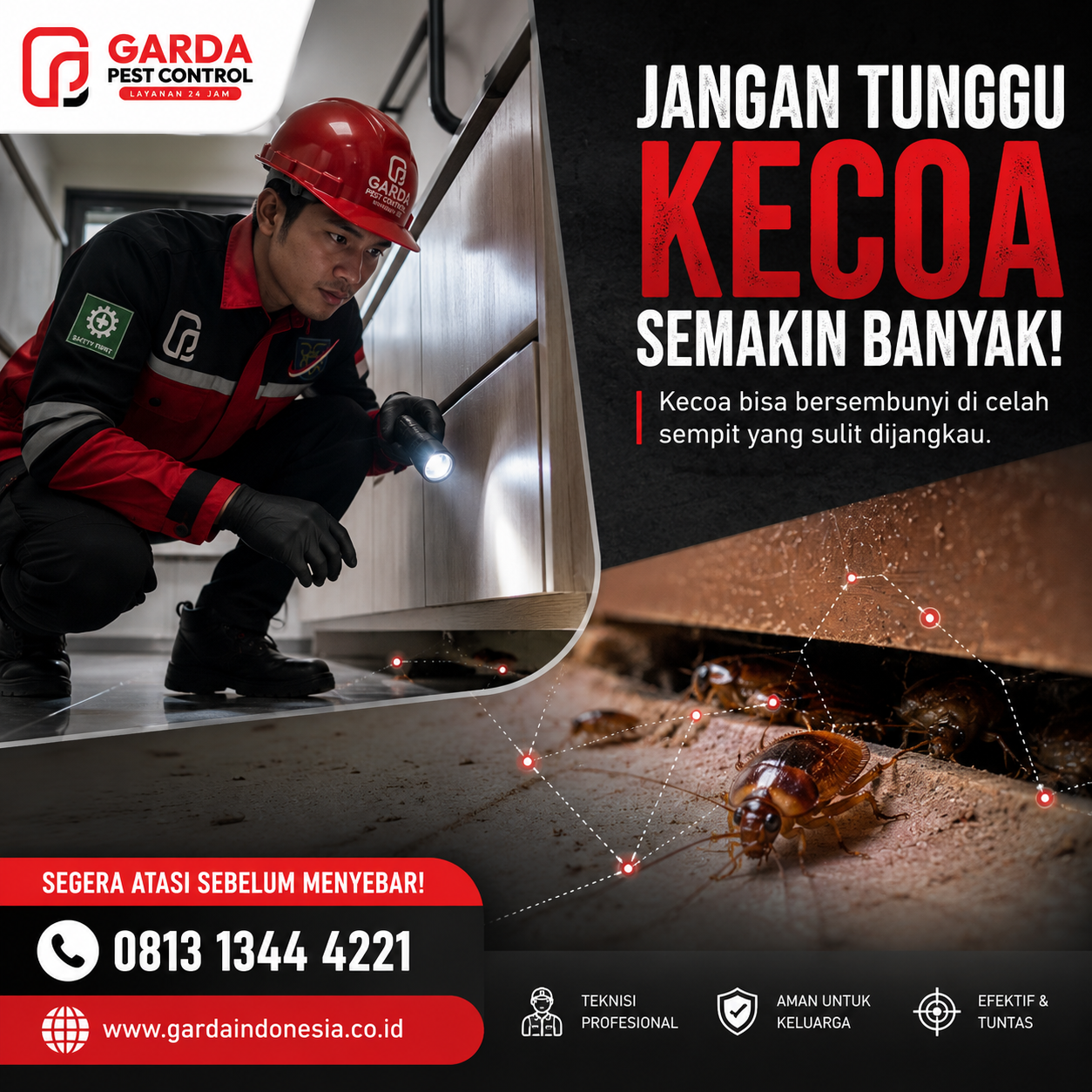 Jasa Pembasmi Kecoa Jakarta Selatan