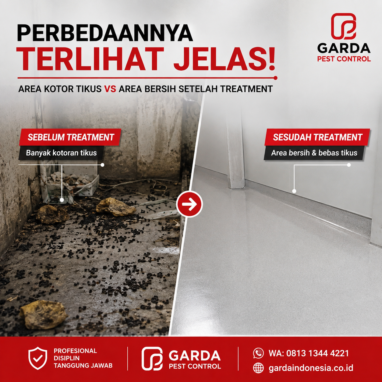 Layanan Jasa Pembasmi Tikus untuk Gudang Jakarta Barat Paling Efektif dan Bergaransi Resmi