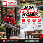 Panduan Tepat Persiapan Sebelum dan Sesudah Fogging Rumah 