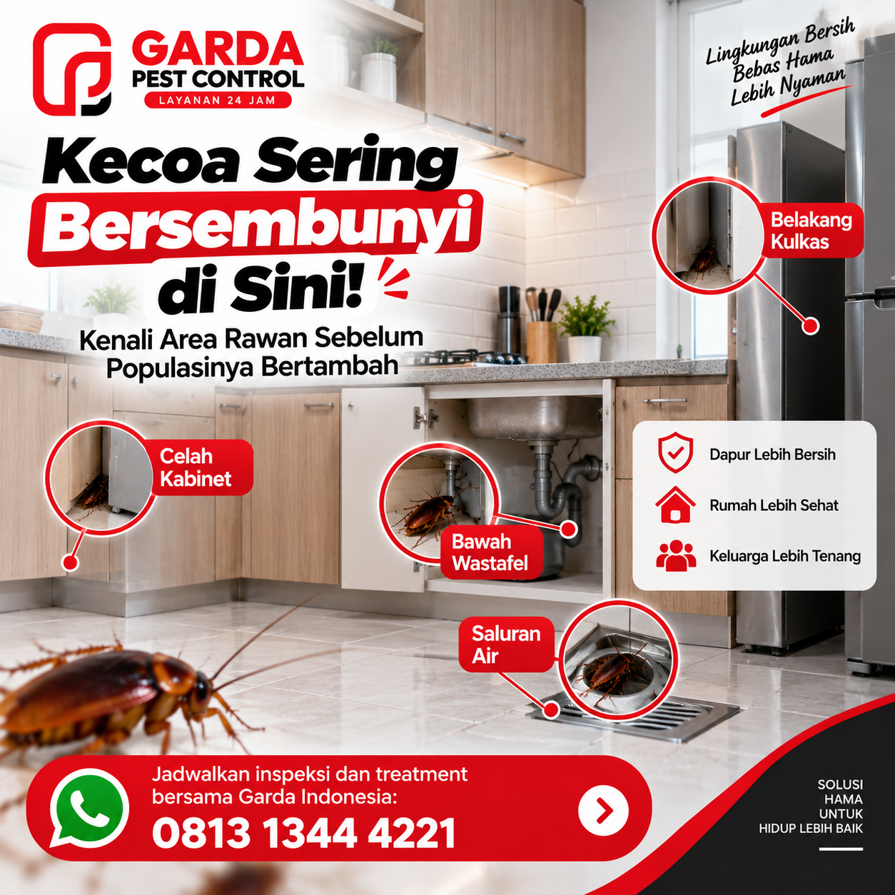 Tanda Infestasi Kecoa Parah yang Butuh Penanganan Ahli dan Cara Mengatasinya